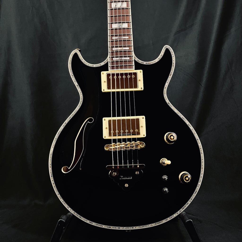 Artist AR520 Hollowbody Black – Shop Guitar Villa